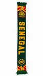 Senegal 2026 Scarf
